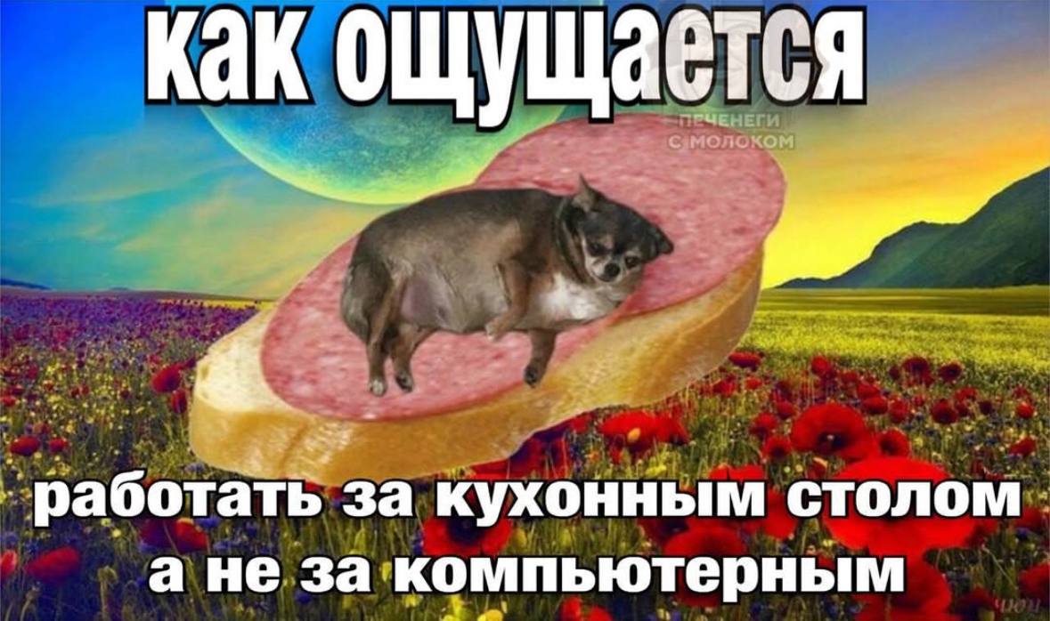 как ощущается ‘работать за кухонным столом ане за компьютерным