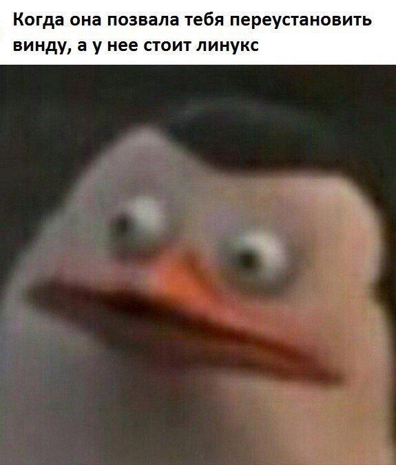 Когда она позвала тебя переустановить винду, аунее стоит линукс