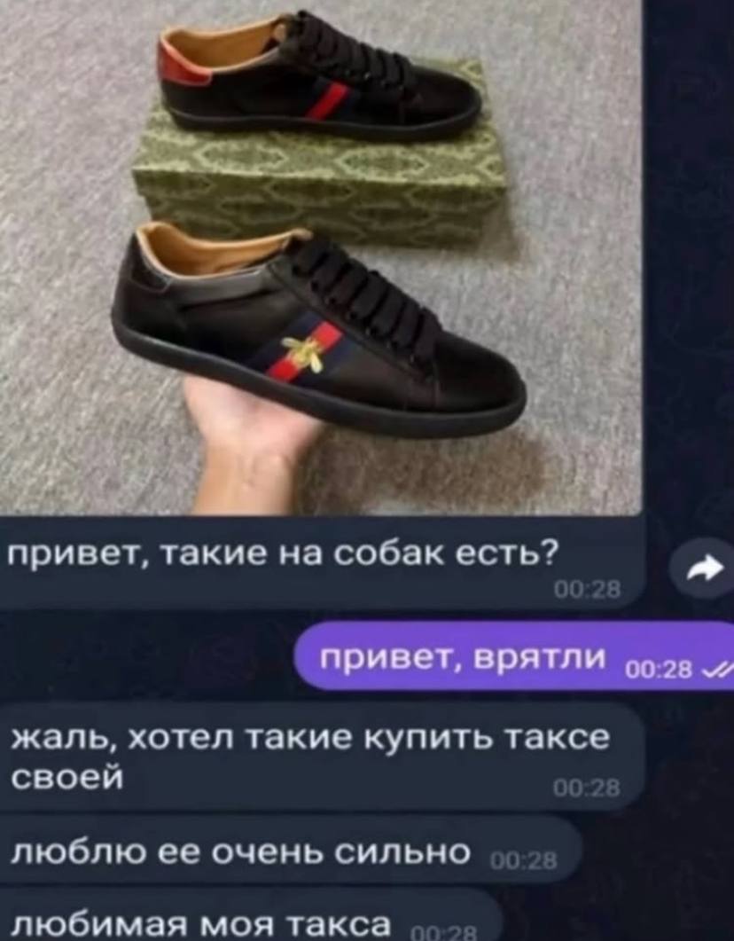 i у че 2 A 7 о А привет, такие на собак есть? привет, врятли жаль, хотел такие купить таксе своеи люблю ее очень сильно любимая моя такса