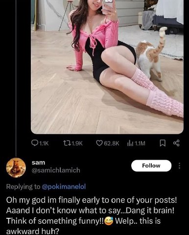 int -у sam @samichlamich о Replying to @pokimanelol my god finally early to one of your posts! Aaand don’t know what to say...Dang it brain! Think of something funny!!}& this is awkward huh?