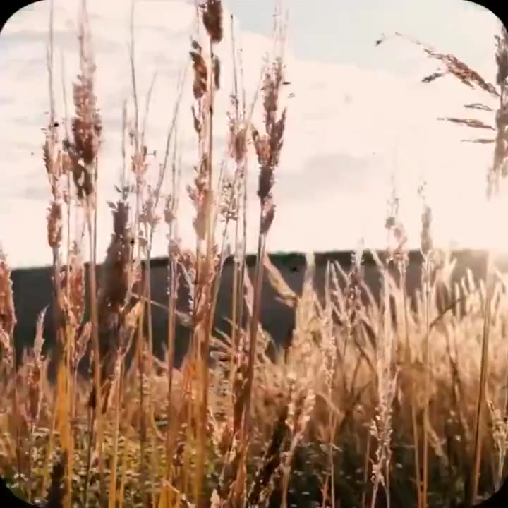 у a 4 у 1 i i у