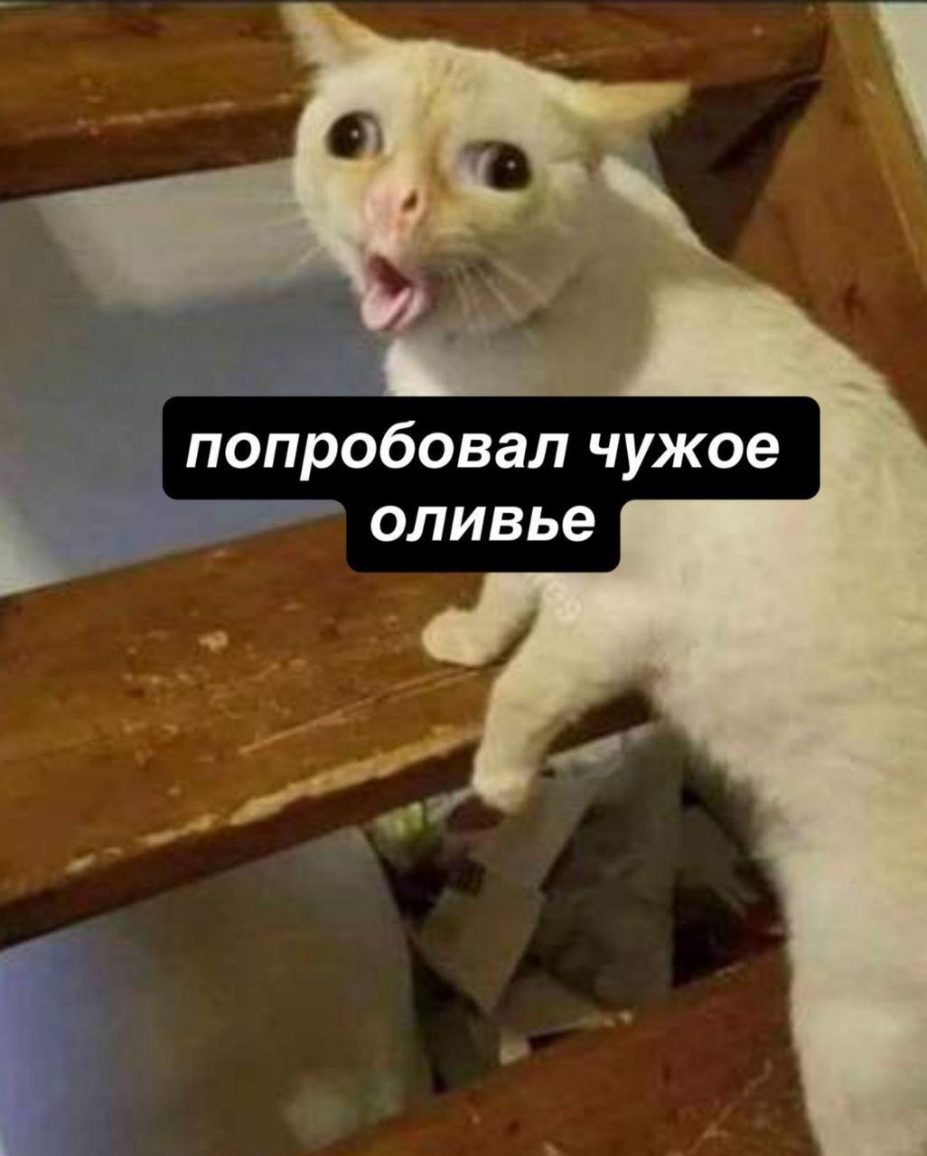 попробовал чужое оливье