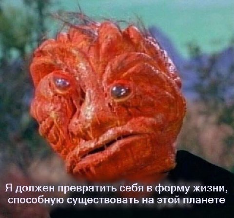 Я должен превратить себя в форму жизни, способную существовать на этой планете
