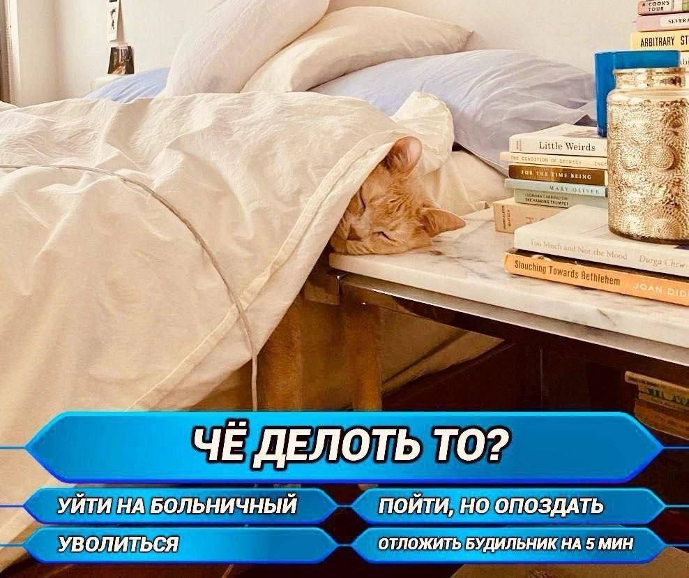 10 Eee oF Little Weirds is Tou the Mood 5. “ФАН Dip ЧЕ ДЕЛОТЬ ТО? УЙТИ НА БОЛЬНИЧНЫЙ ПОЙТИ, НО ОПОЗДАТЬ УВОЛИТЬСЯ ОТЛОЖИТЬ БУДИЛЬНИК НА 5 МИН