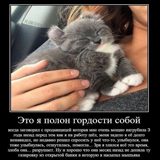 Я 228 i +5. Это я полон гордости собой когда заговорил с продавщицей которая мне очень мощно нагрубила 3 года назад перед тем как я на работу шёл, меня задело я её долго ненавидел, но недавно решил сп