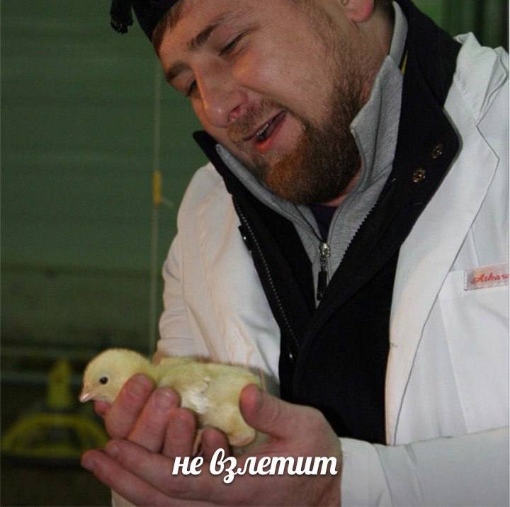 не