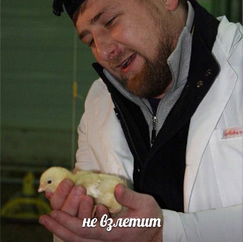 не