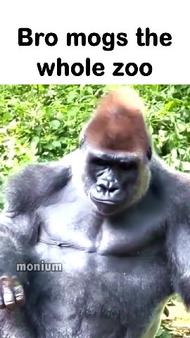 мем