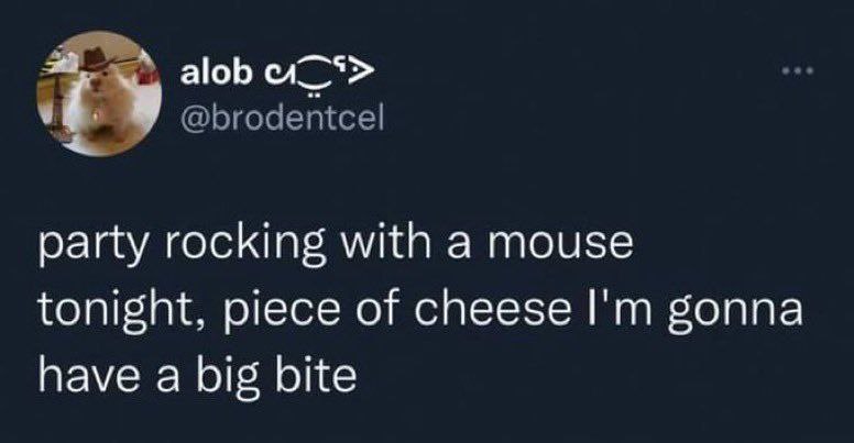 alob @brodentcel party rocking with a mouse tonight, piece of cheese gonna have a big bite