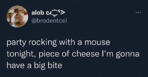 alob @brodentcel party rocking with a mouse tonight, piece of cheese gonna have a big bite