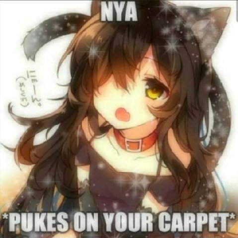 NYA 4 YOUR