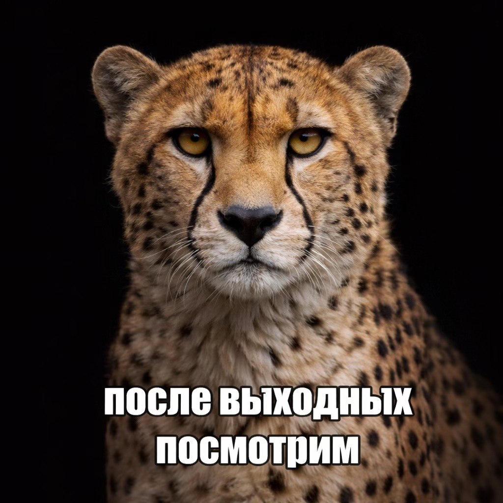 к после выходных посмотрим