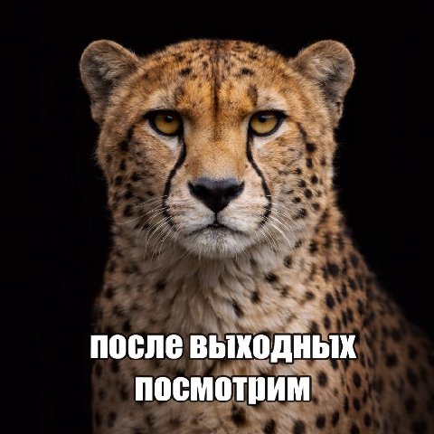 к после выходных посмотрим