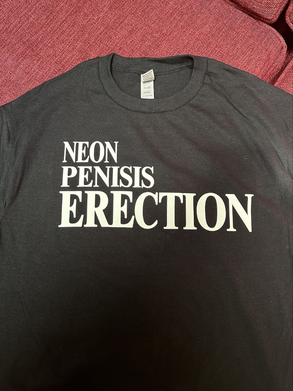 NEON PENISIS ERECTION