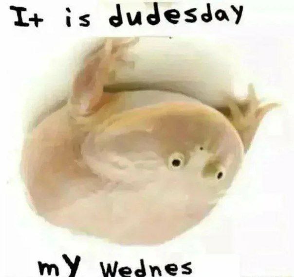 is dudesday mY wWednes