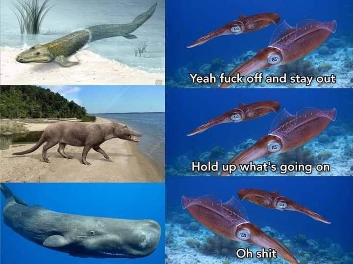 Yeah fuck off and stay out Hold up what's going on: shit