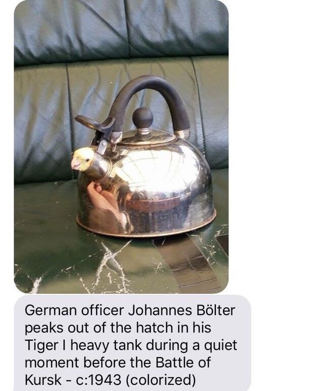 1. German officer Johannes Bolter peaks out of the hatch in his Tiger heavy tank during a quiet moment before the Battle of Kursk (colorized)