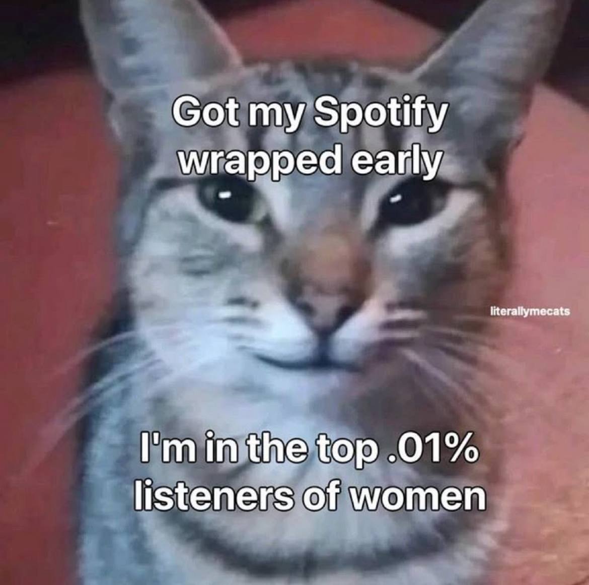 Got Spotify wrapped early the top .01% listeners of women