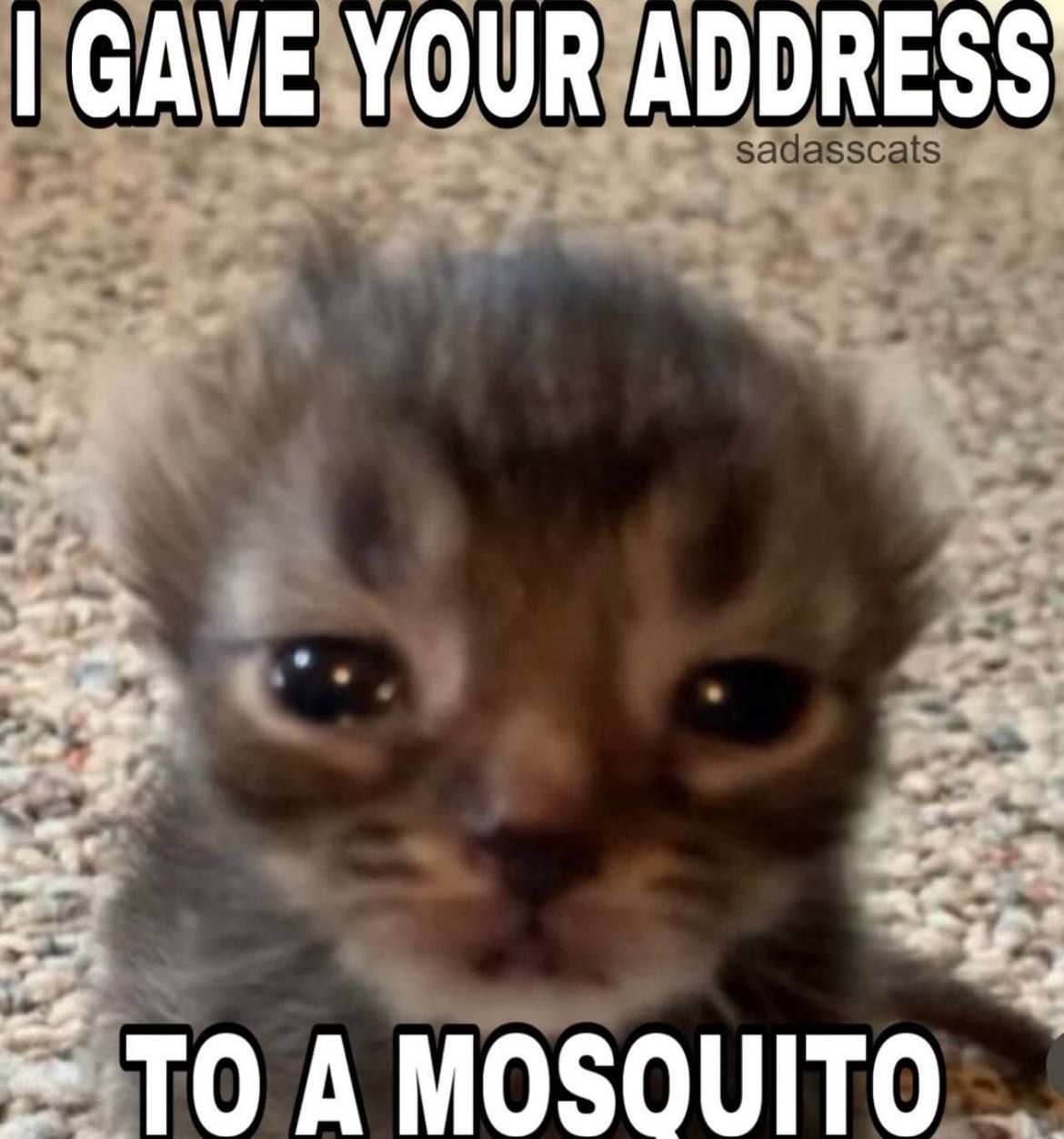 GAVE YOUR ADDRESS 7 73 TO A МОЗОШТО
