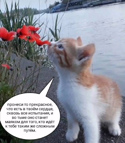 if у К A (77) у i 3 пронеси то прекрасное, что есть в твоём сердце, сквозь все испытания, и во тьме оно станет маяком для того, кто идёт ктебе таким же сложным путём. у