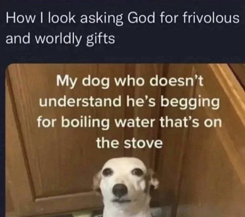 How Поок asking God for frivolous and worldly eifts My dog who doesn't understand he’s begging for boiling water that’s on the stove