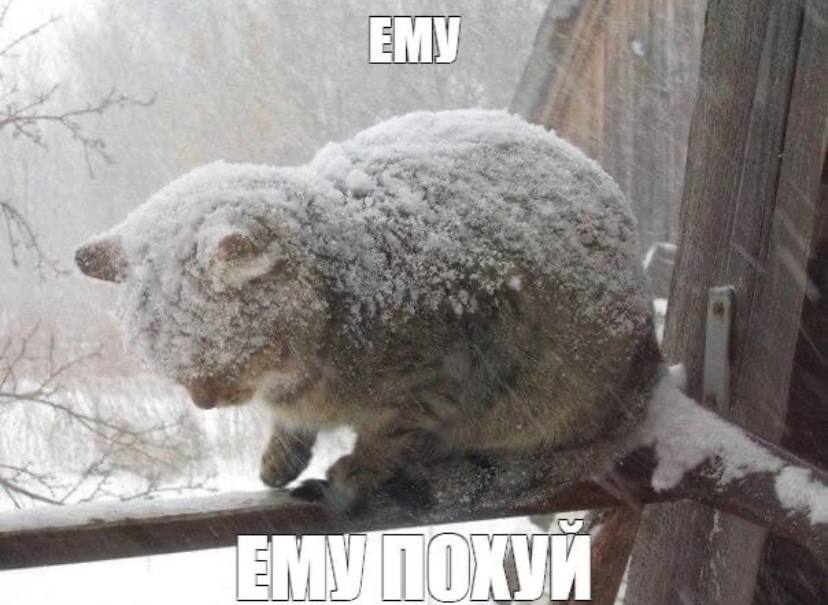 ЕМУ a vat 1 С a 1 of a