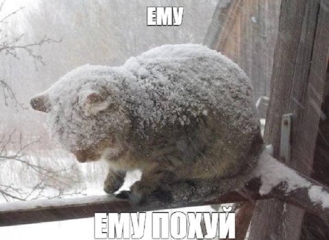 ЕМУ a vat 1 С a 1 of a