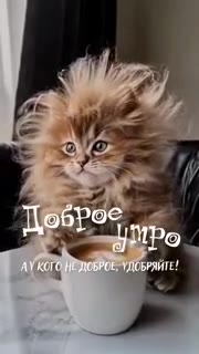 Цеброс Ро