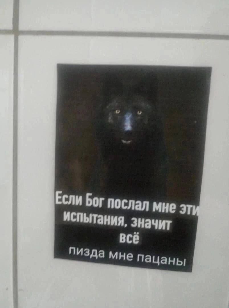 Если Бог послал мне испытания, значит всё