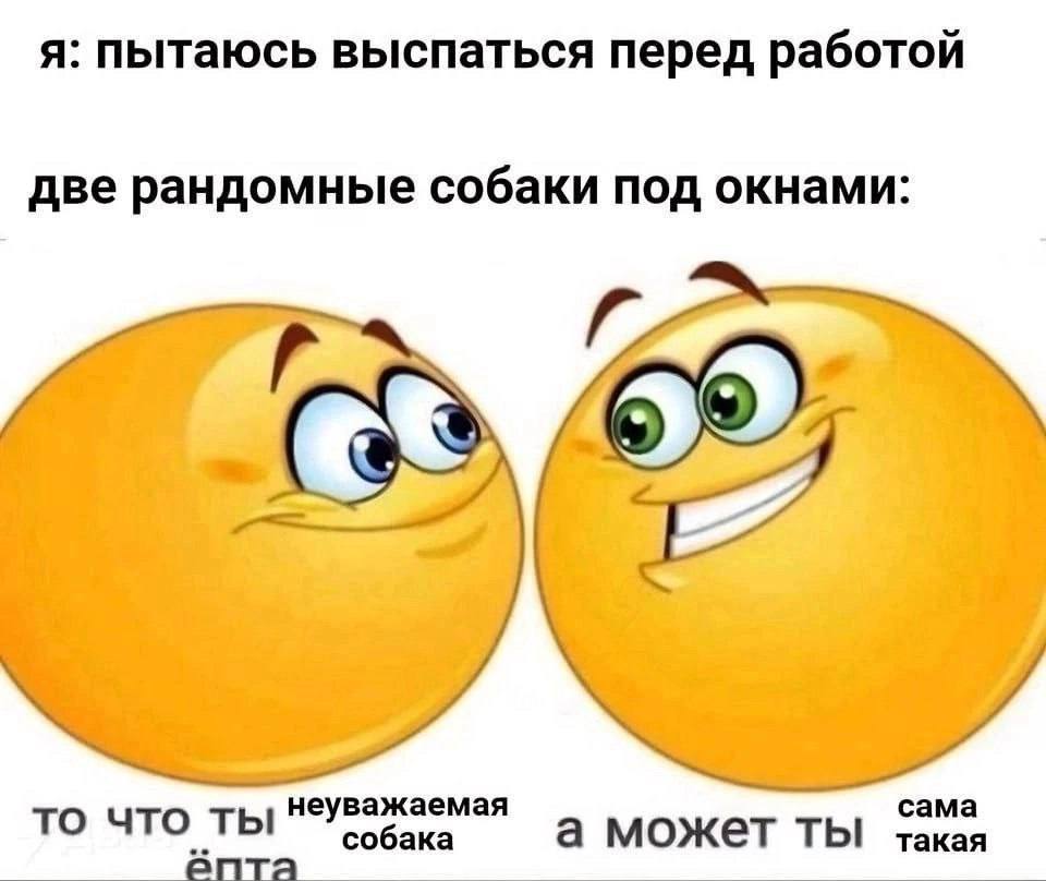 я: пытаюсь выспаться перед работой две рандомные собаки под окнами: у 4 неуважаемая сама TO что ты а может ТЫ такая