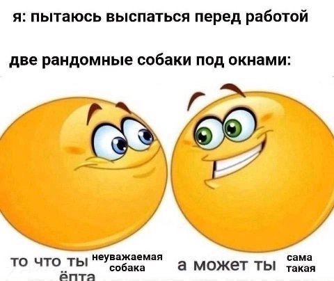 я: пытаюсь выспаться перед работой две рандомные собаки под окнами: у 4 неуважаемая сама TO что ты а может ТЫ такая