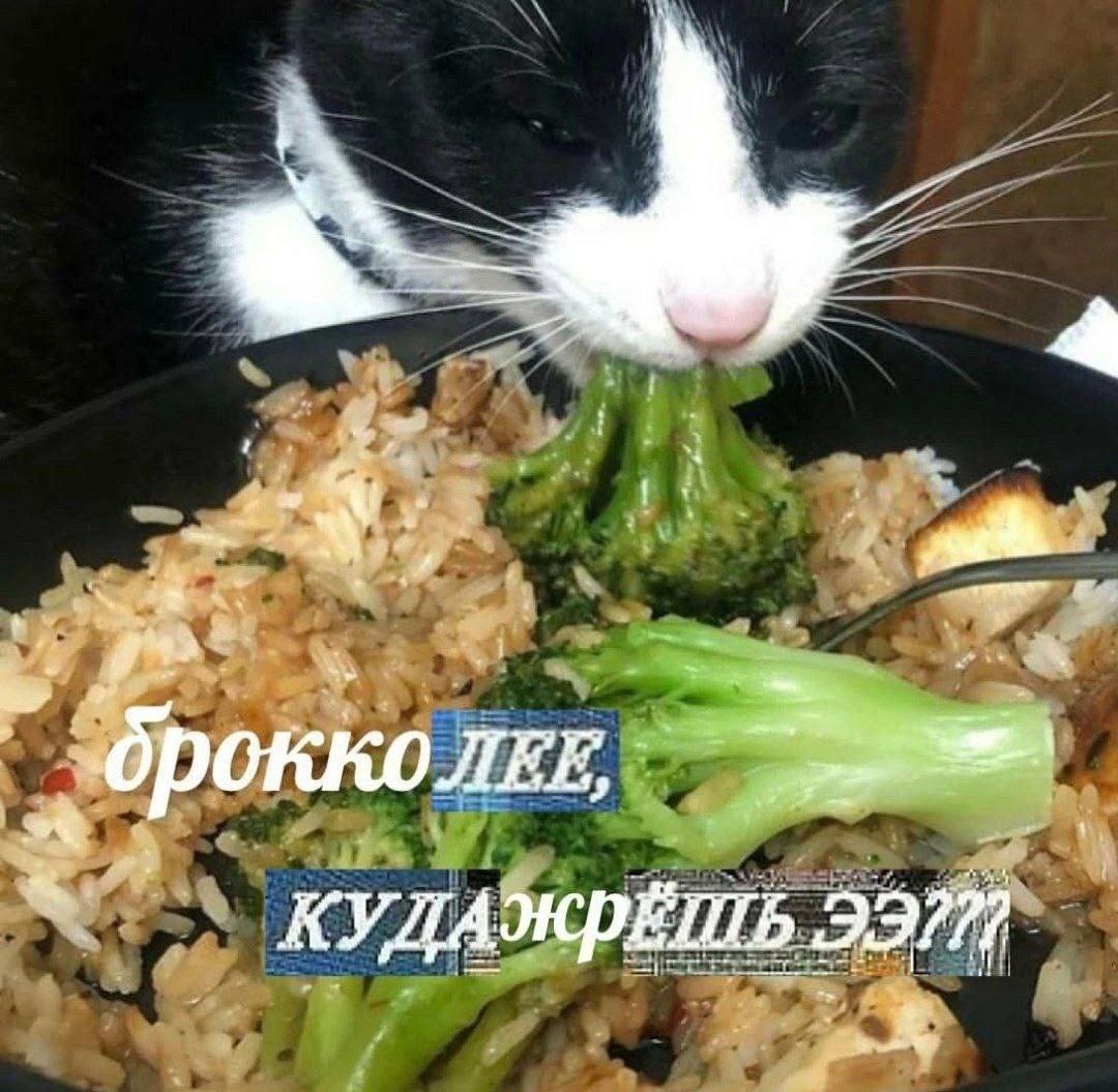 i\ ОККОЛЕЕ, a a