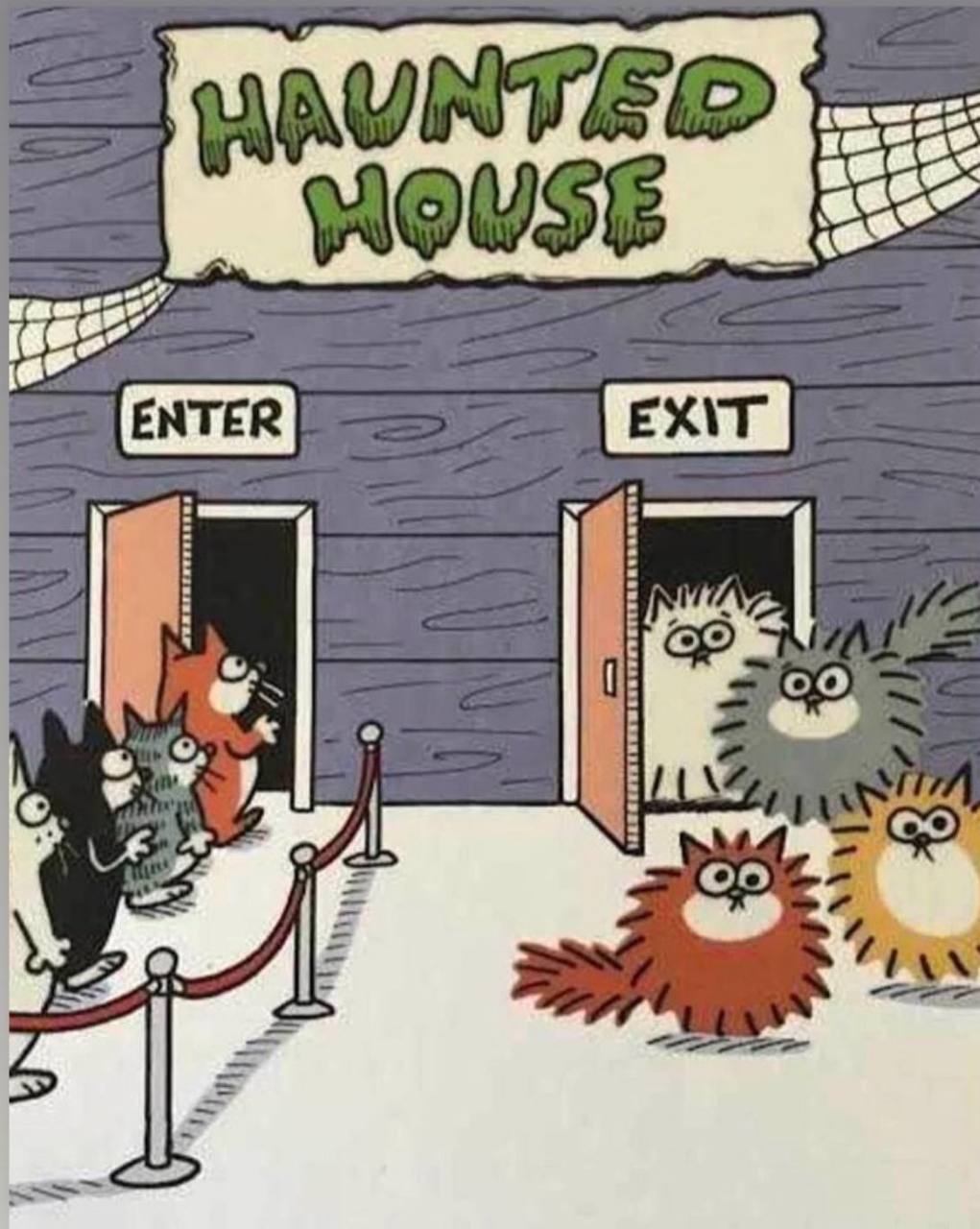 ENTER EX\T is