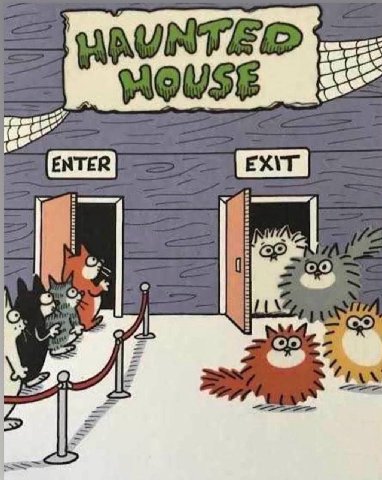 ENTER EX\T is