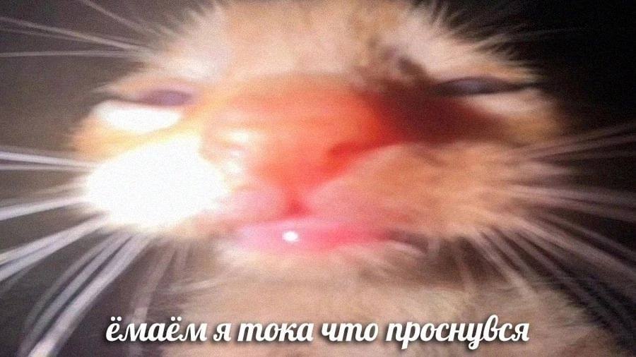емаем я тока что