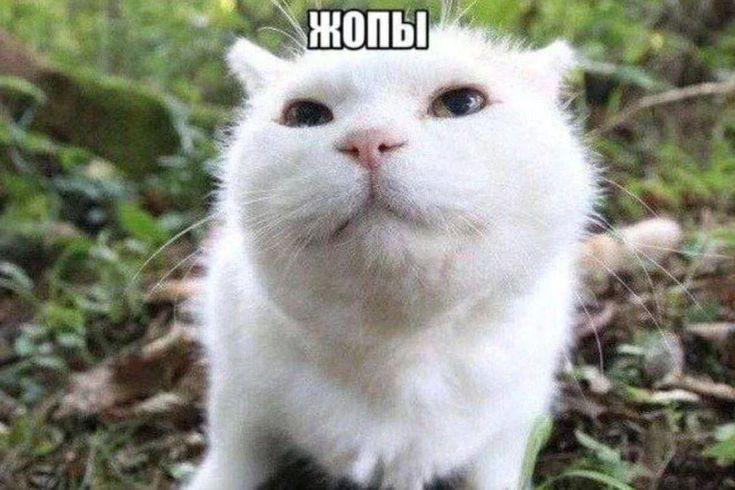 3 4 A а 3 if у a А
