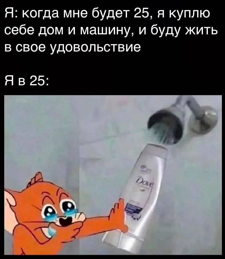 Я: когда мне будет 25, я куплю себе дом и машину, и буду жить в свое удовольствие 25: