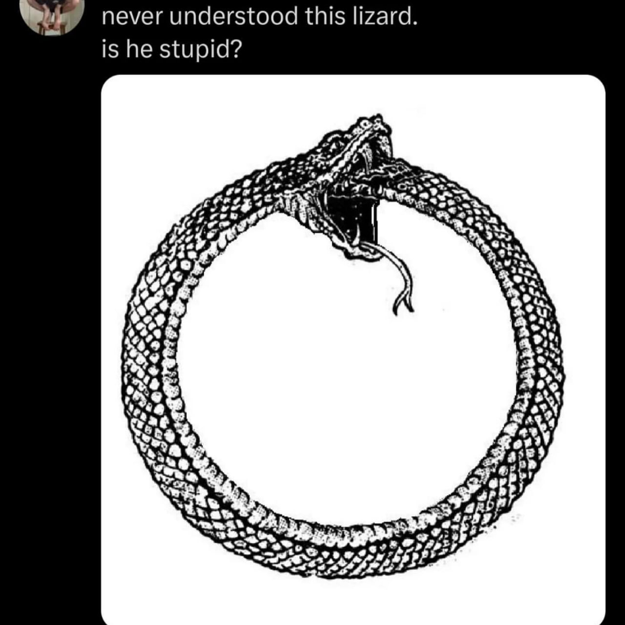 understood this lizard. is he stupid? [2 4% at ree YoU A а