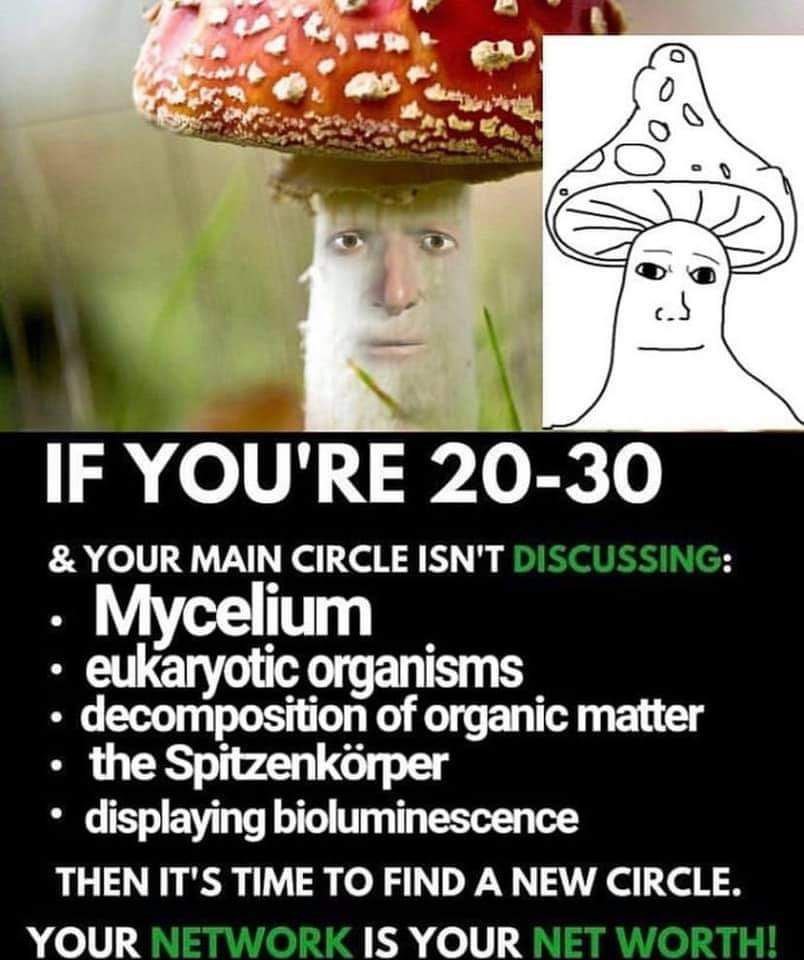 IF YOU'RE 20-30 YOUR MAIN CIRCLE ISN'T Mycelium eukaryotic organisms decomposition of organic matter the Spitzenkorper displaying bioluminescence THEN IT'S TIME TO FIND A NEW CIRCLE. YOUR IS YOUR