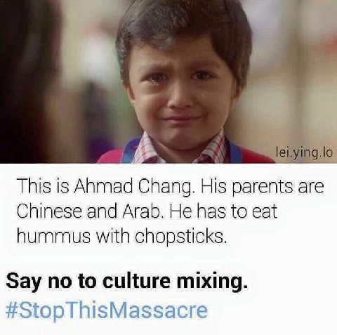 This is Anmad Chang. His parents are Chinese and Arab. He has to eat hummus with chopsticks. Say no to culture mixing. #StopThisMassacre