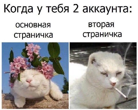 Когда у тебя 2 аккаунта: основная вторая страничка страничка