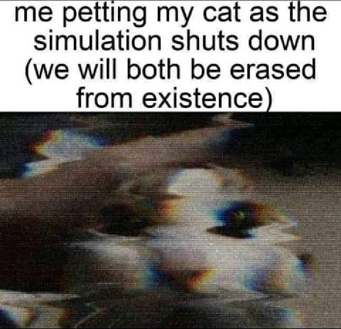 me petting my cat as the simulation shuts down (we will both be erased from existence
