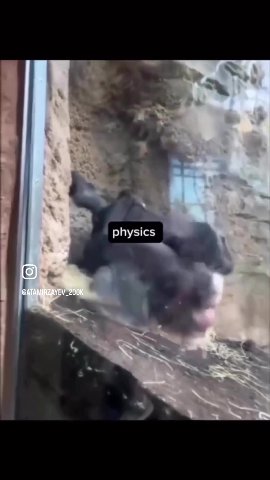 physics