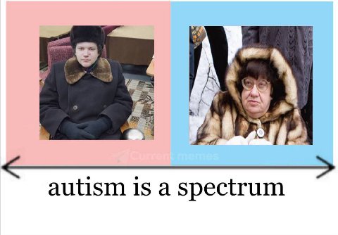 3 autism is a spectrum