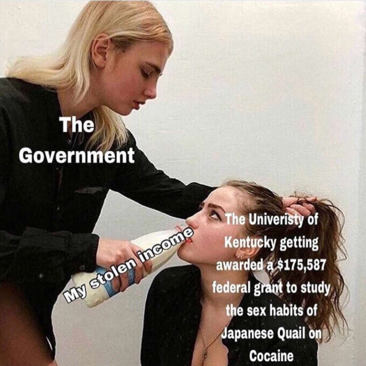 Government of getting to study sex habits of Japanese Quail on Cocaine