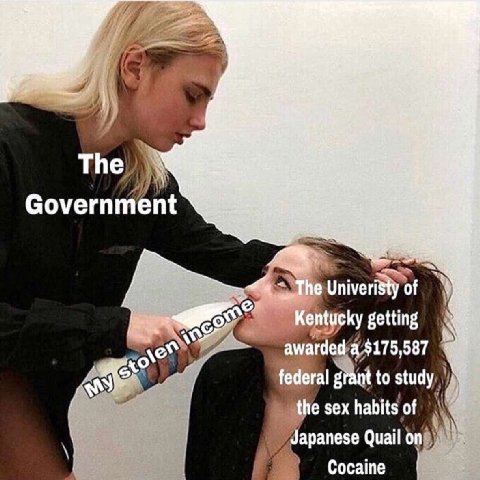 Government of getting to study sex habits of Japanese Quail on Cocaine