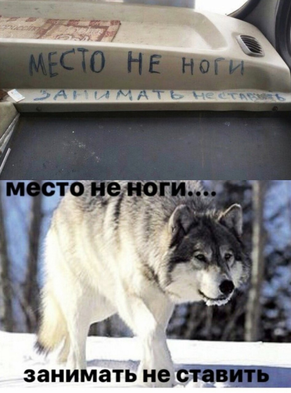 NECTO неноги. занимать не став