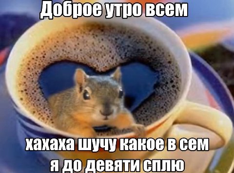 Доброе утро всем шучу какое в CEM Я ДО Девяти сплю