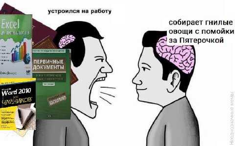 устроился на работу Excel собирает гнилые овощи с помойки за Пятерочкой ПЕРВИЧНЫЕ 2010 ЧАЙНИКОВ 3