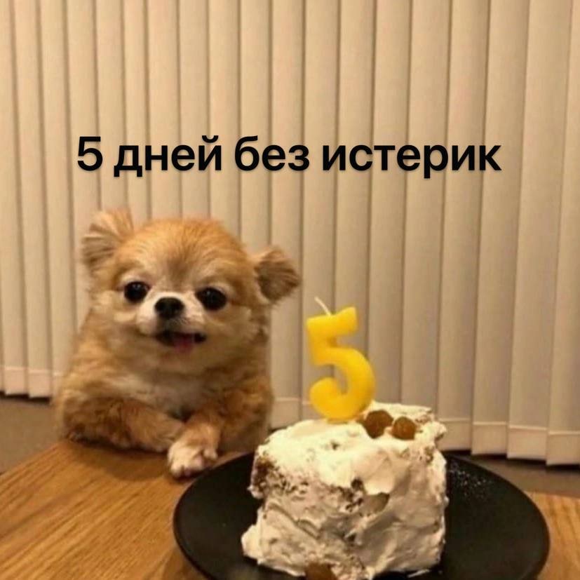 5 дней без истерик